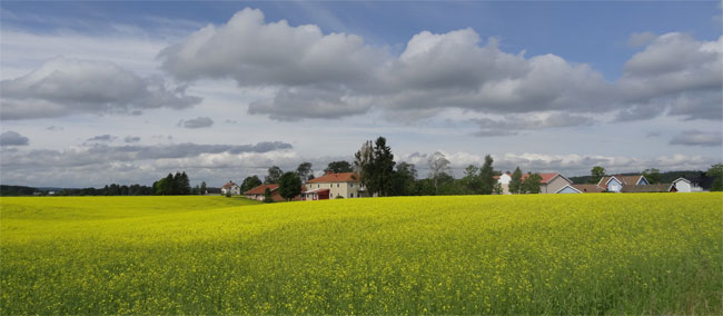 Kvalitet och miljöarbete på Mellbygard